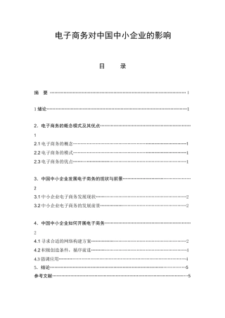 电子商务对中国中小企业的影响 分析研究  财务会计学专业