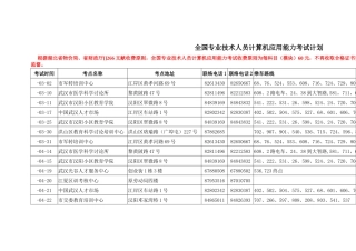 2025年专业技术人员应用计算机考试