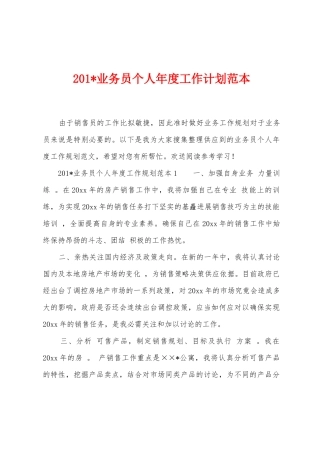 2025年业务员个人年度工作计划范本