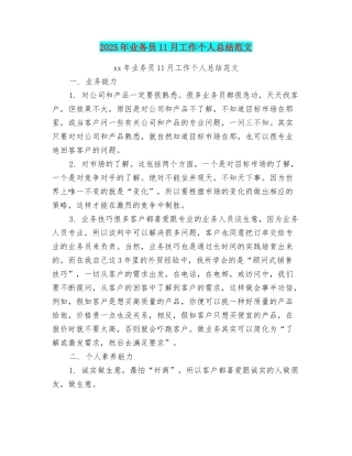 2025年业务员11月工作个人总结范文