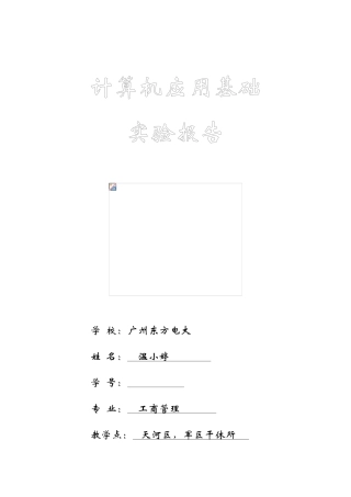 2025年东方电大工商管理专科计算机期末复习应用基础实验报告
