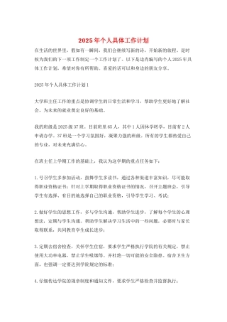 2025年个人具体工作计划