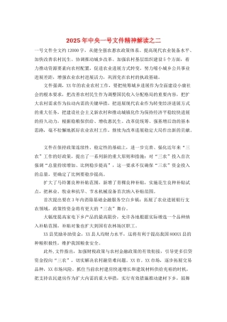 2025年中央一号文件精神解读之二