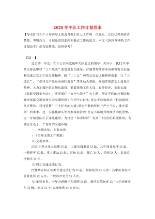 2025年中队工作计划范本