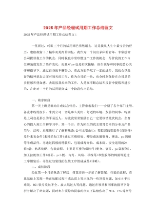 2025年产品经理试用期工作总结范文