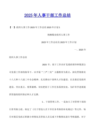 2025年人事干部工作总结