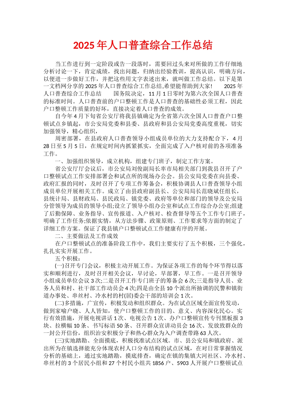 2025年人口普查综合工作总结_第1页