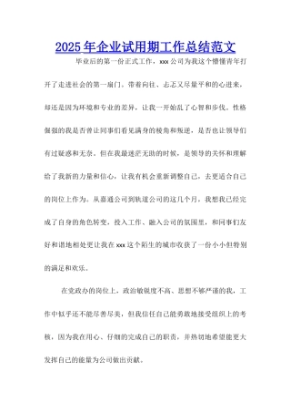 2025年企业试用期工作总结范文