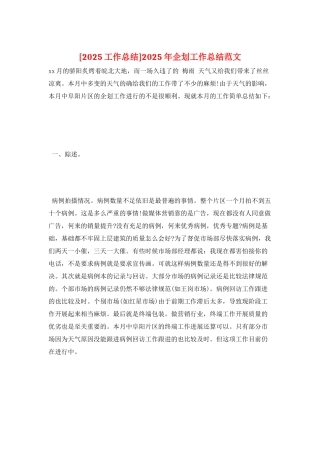 2025年企划工作总结范文