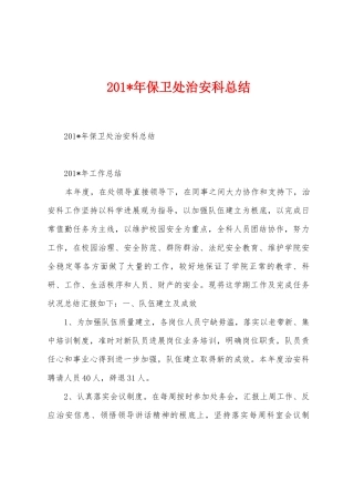 2025年保卫处治安科总结