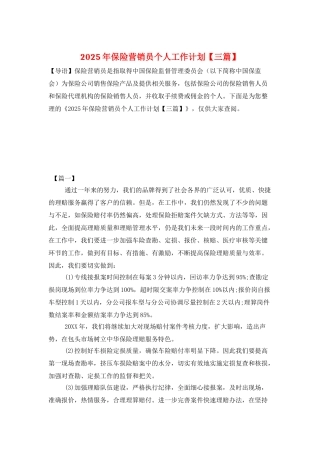 2025年保险营销员个人工作计划