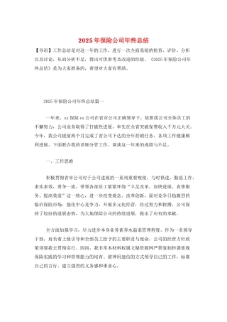 2025年保险公司年终总结