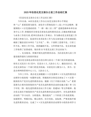 2025年信息化党支部办公室工作总结汇报