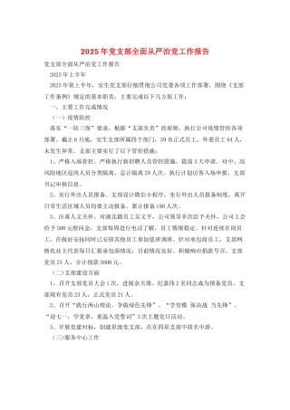 2025年党支部全面从严治党工作报告