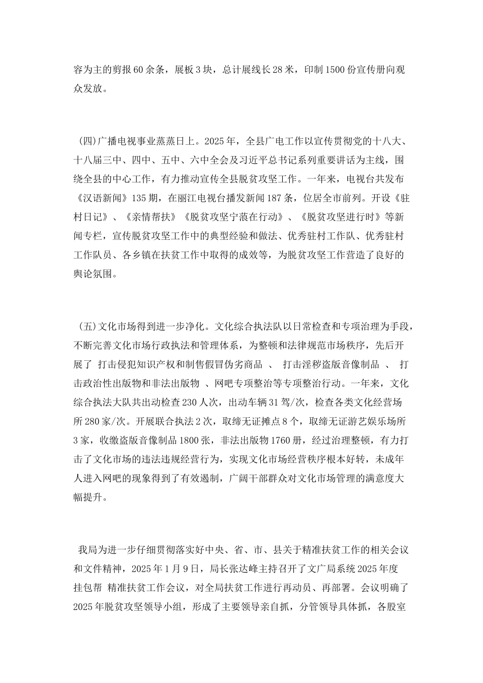 2025年公共文化工作总结_第2页