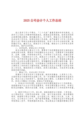 2025年公司会计个人工作总结1