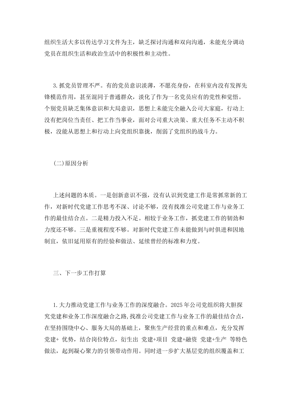 2025年公司党委书记述职报告范文_第3页