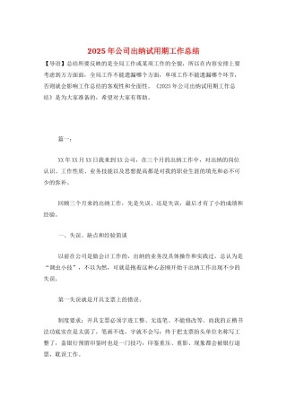 2025年公司出纳试用期工作总结