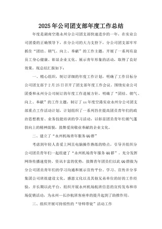 2025年公司团支部年度工作总结（精编版）