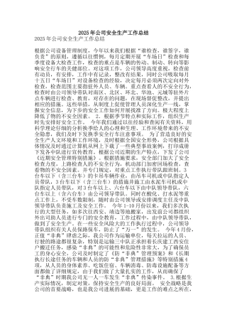 2025年公司安全生产工作总结-精品范文资料