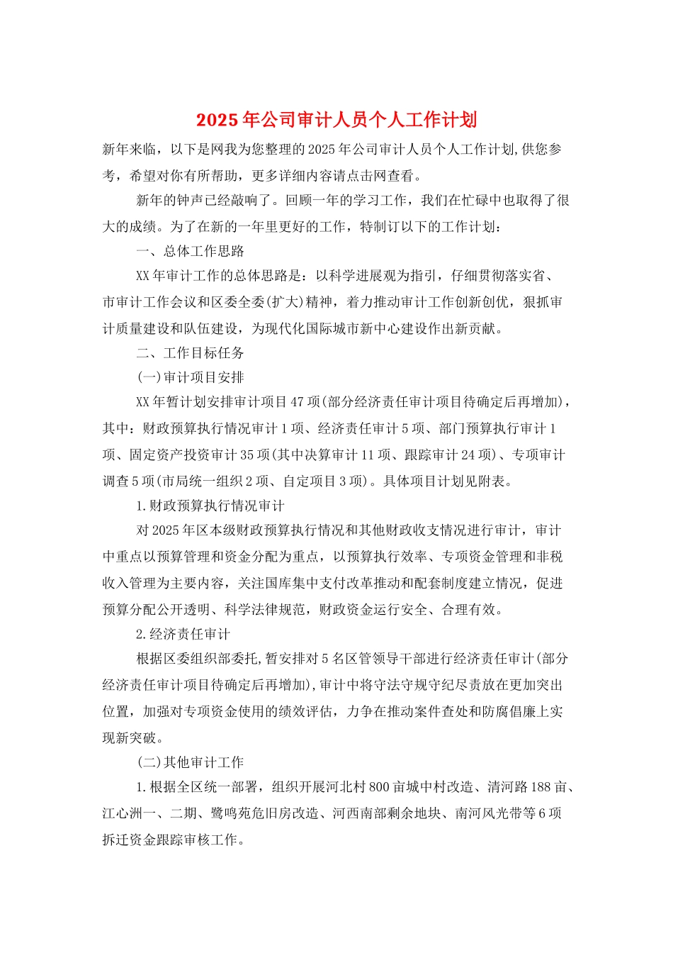 2025年公司审计人员个人工作计划_第1页