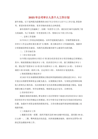2025年公司审计人员个人工作计划