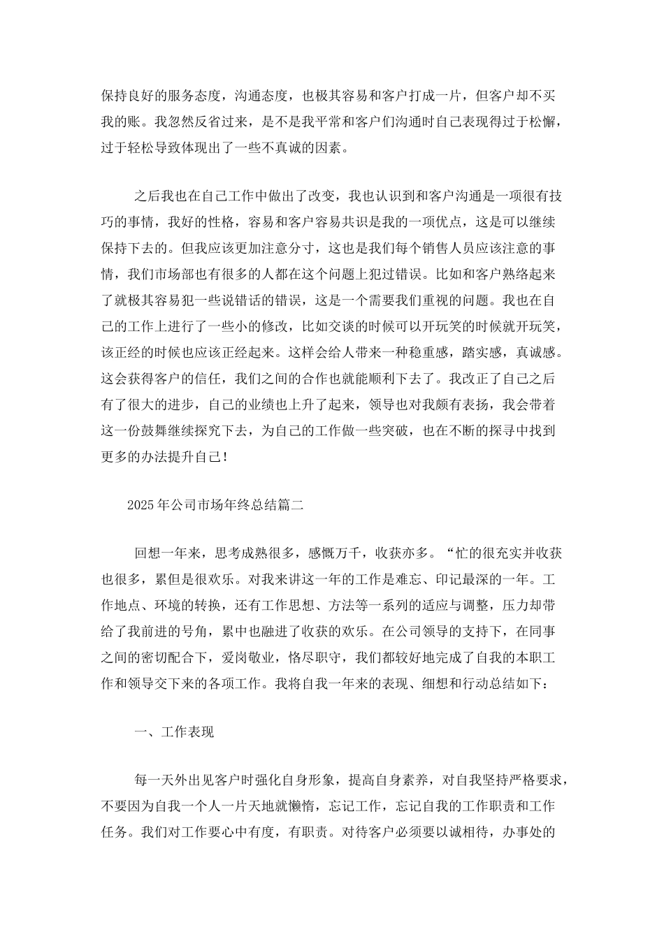 2025年公司市场年终总结_第2页