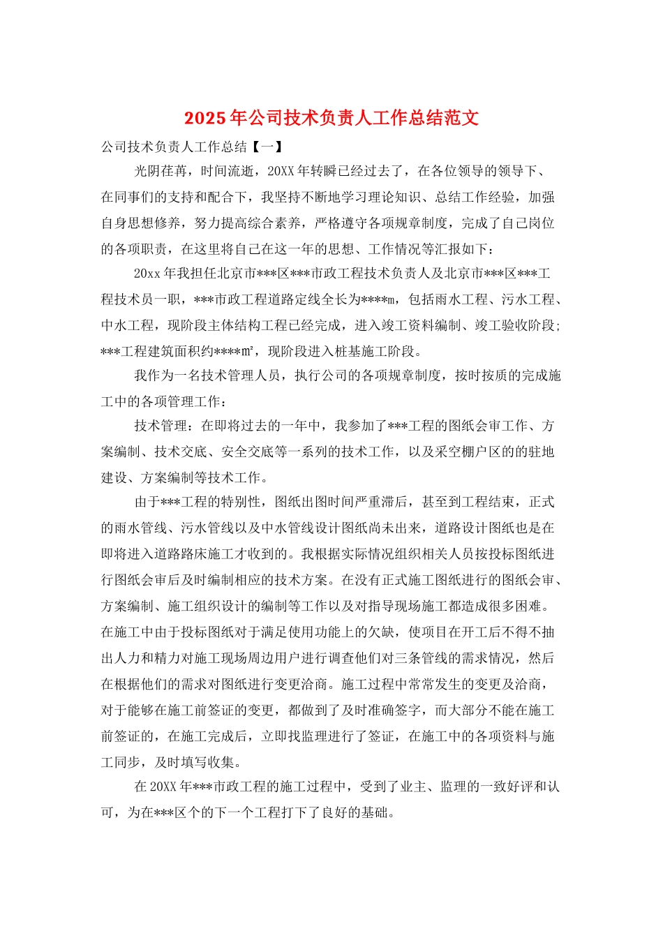2025年公司技术负责人工作总结范文_第1页