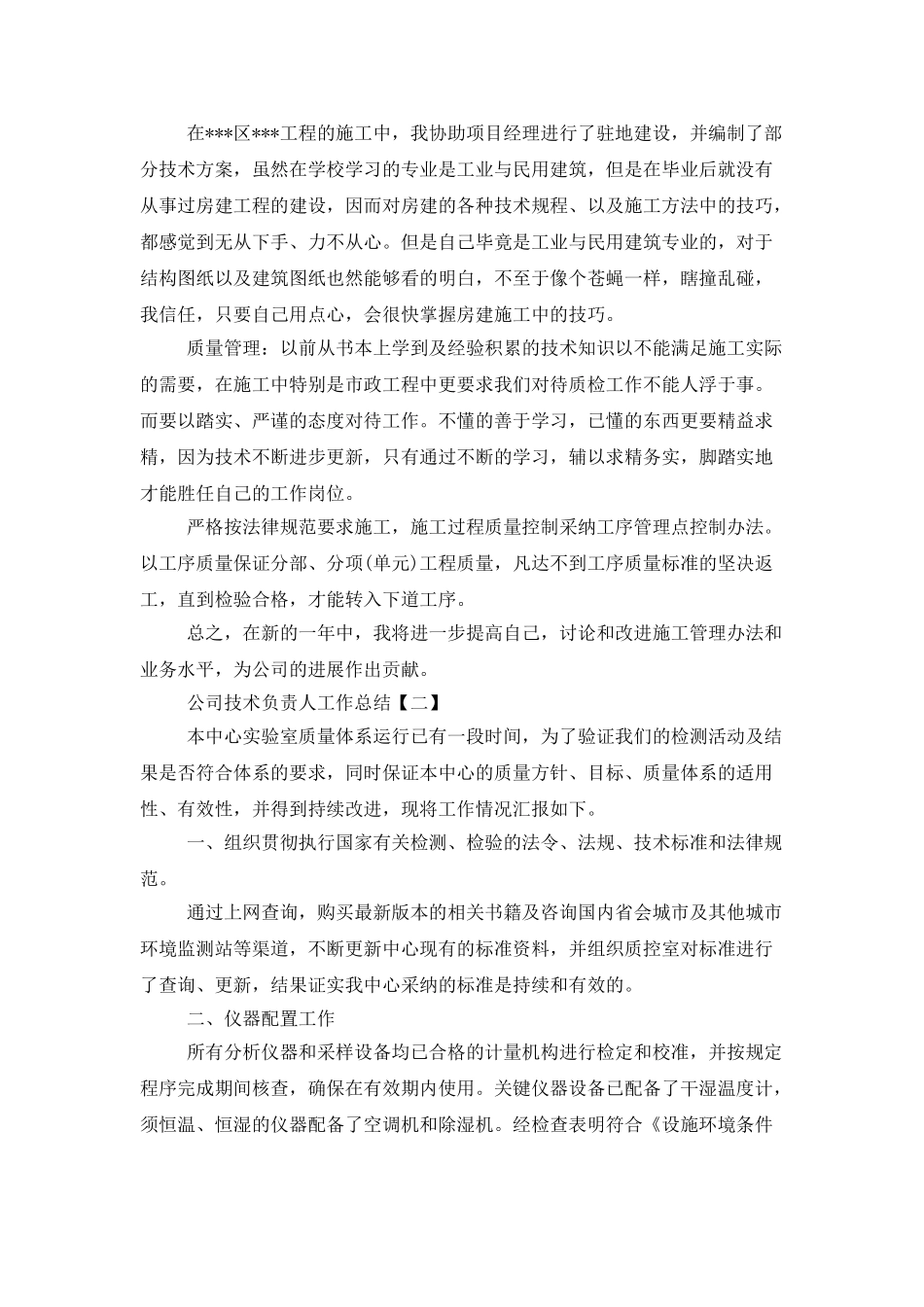 2025年公司技术负责人工作总结范文_第2页