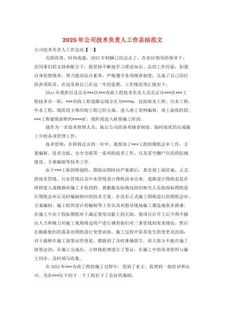 2025年公司技术负责人工作总结范文