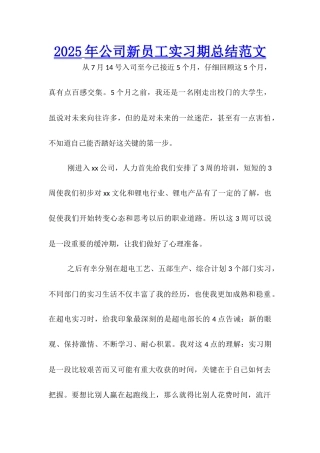 2025年公司新员工实习期总结范文