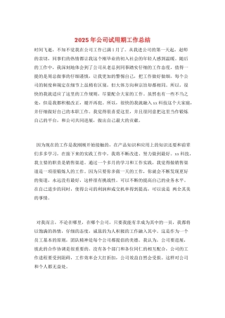 2025年公司试用期工作总结
