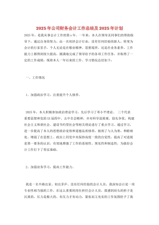 2025年公司财务会计工作总结及2025年计划