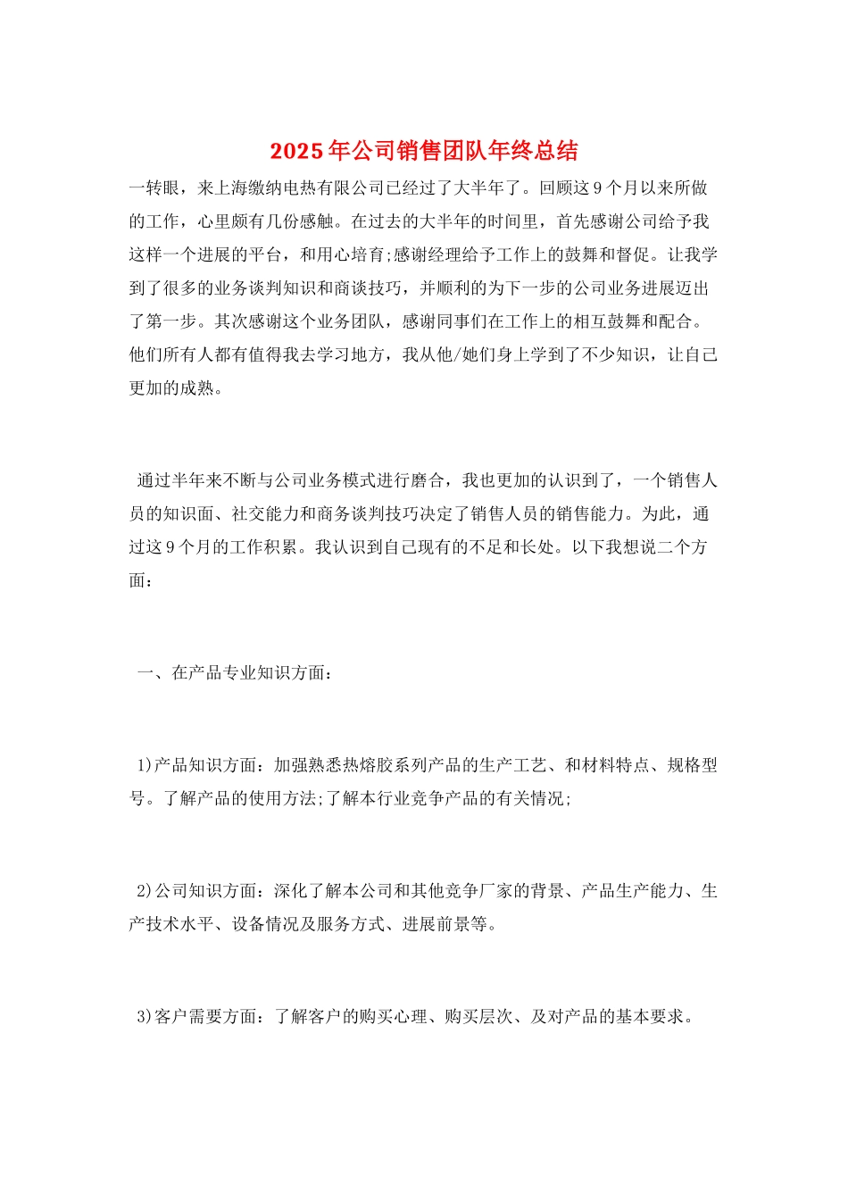 2025年公司销售团队年终总结_第1页