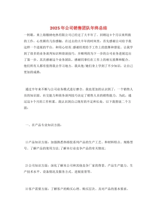 2025年公司销售团队年终总结