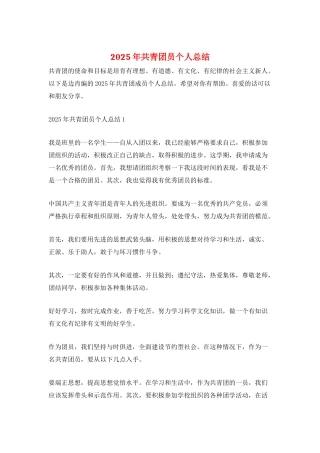 2025年共青团员个人总结