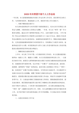 2025年共青团干部个人工作总结