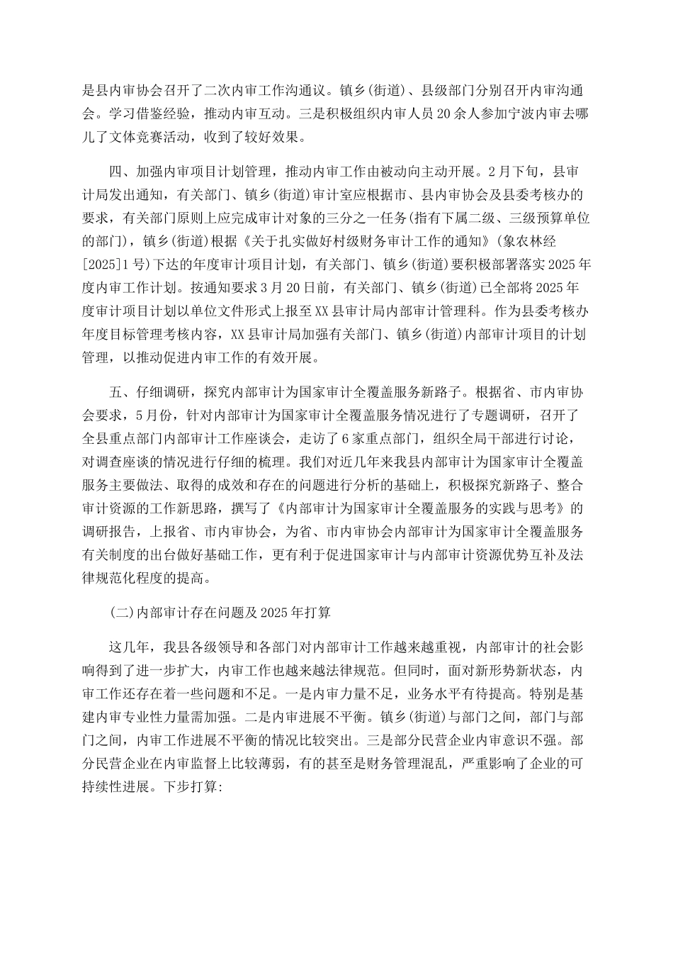 2025年内审工作总结和2025年思路_第2页