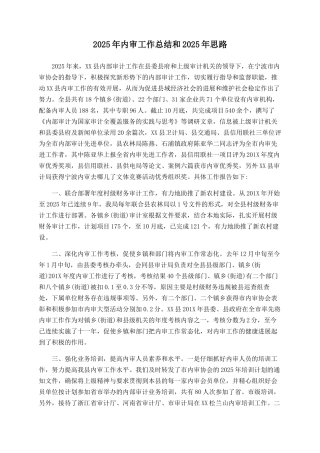 2025年内审工作总结和2025年思路