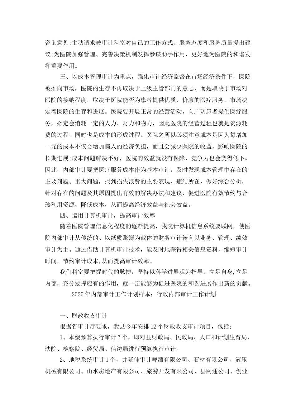 2025年内部审计工作计划样本_第2页