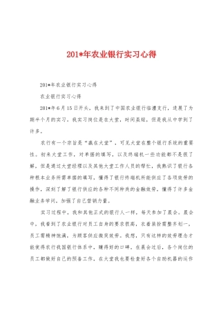 2025年农业银行实习心得