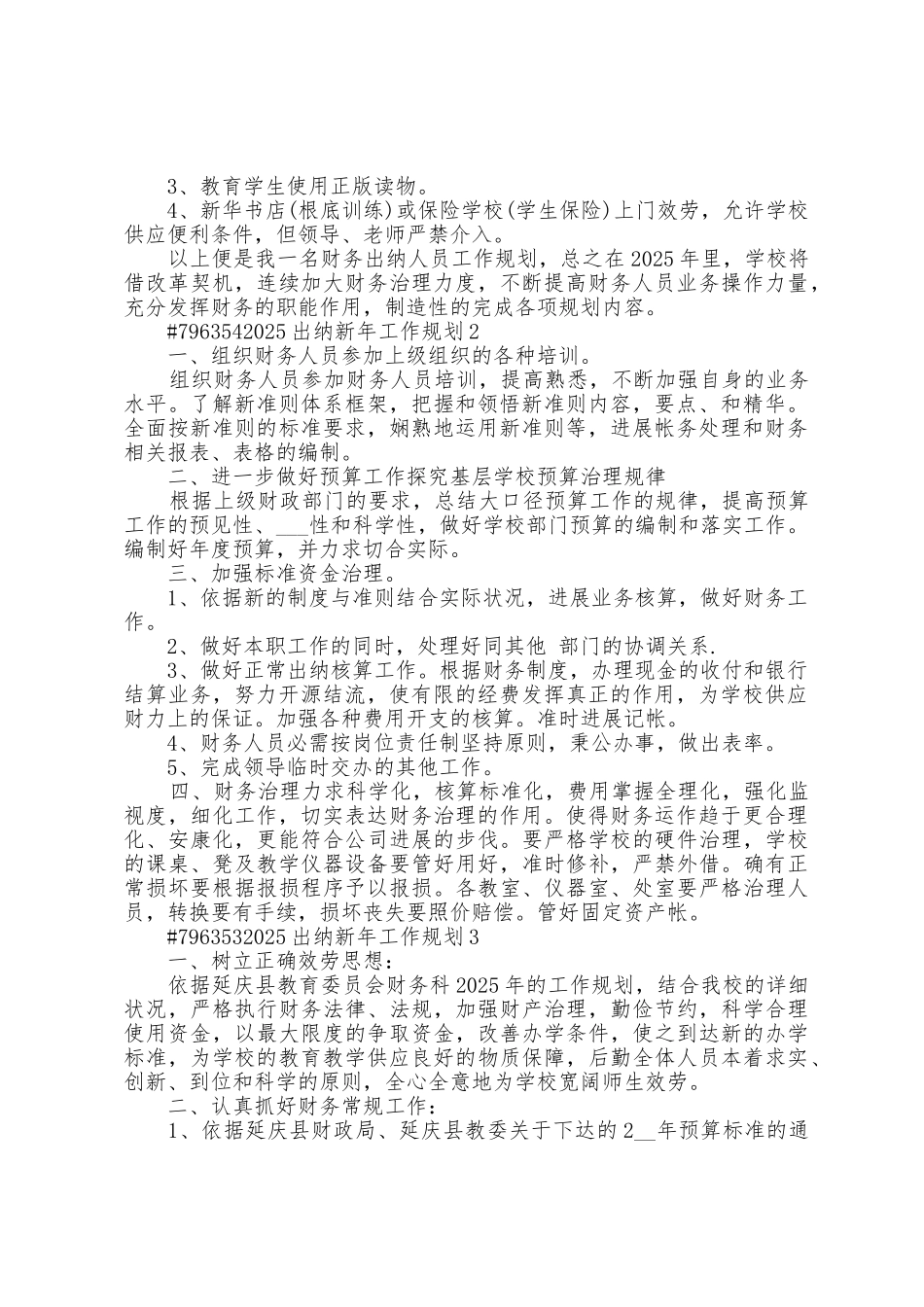 2025年出纳人员新年工作计划3篇_第2页
