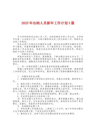 2025年出纳人员新年工作计划3篇