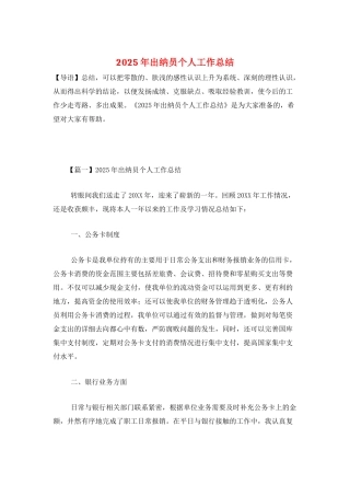 2025年出纳员个人工作总结