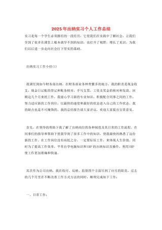 2025年出纳实习个人工作总结