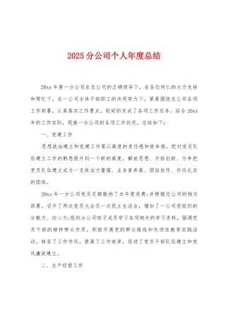 2025年分公司个人年度总结