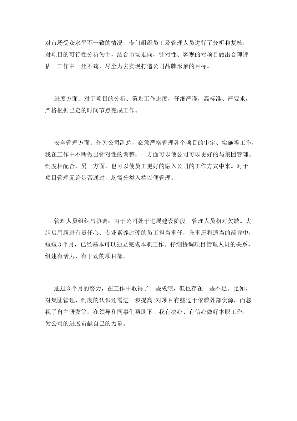 2025年副经理述职报告_第2页