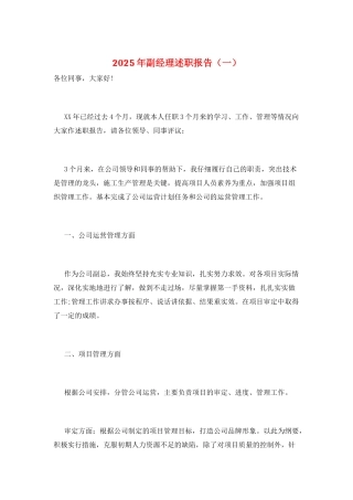 2025年副经理述职报告