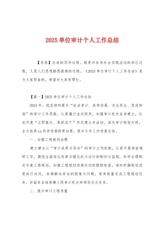 2025年单位审计个人工作总结