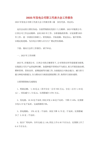 2025年发电公司职工代表大会工作报告
